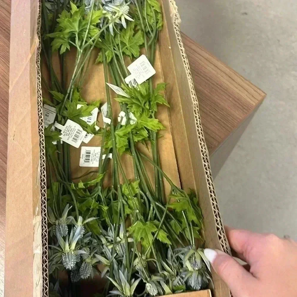 NWT 12pc Thistle‎ Stems - Threshold